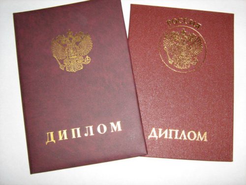Дипломированных специалистов стало больше