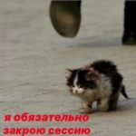 Рисунок профиля (Марина Хачикян)