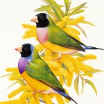 Рисунок профиля (Олигофренопедагоги заочное отделение)