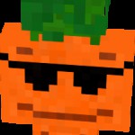 Рисунок профиля (Светлана Добахова)