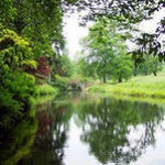 Рисунок профиля (Анжела Астанян)