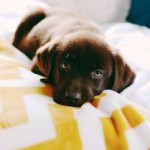 Рисунок профиля (Бурдонова Антонина)