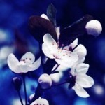 Рисунок профиля (Быкова Валя)