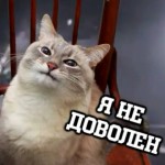 Рисунок профиля (Михаил Борисенко)