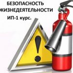 Логотип группы (ИП Безопасность жизнедеятельности Россошанский)