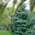 Логотип группы (Социальная экология СКП-СПБZ-5 ЗФО 20-21)