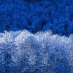 Логотип группы (МИФ ИТМ-61)