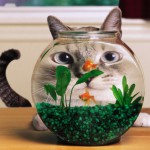 Логотип группы (AVB-111(DLinFL_14-15))