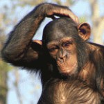 Логотип группы (Решение задач повышенной трудности)