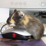 Логотип группы (Олимпиада по информационным и интернет-технологиям)