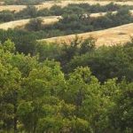 Логотип группы (Науки о Земле)