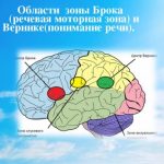 Логотип группы (ЛПБZ-212, 222 (Любимова Е.С.) Практикум по обследованию моторных функций речи)