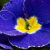 Логотип группы (СКП-ЛПБ-41 Логопедия. Афазия.)