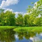 Логотип группы (Модуль НИР. Модуль Здоровьесбережение 3-й курс ЗФО_2022/23)