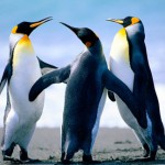 Логотип группы (ИКТ - Общая педагогика)