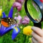 Логотип группы (Технологии организации нестандартных уроков по естествознанию)
